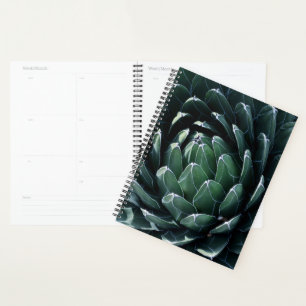 Green Agave Planer