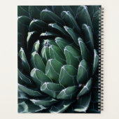 Green Agave Planer (Rückseite)