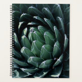 Green Agave Planer (Vorderseite)
