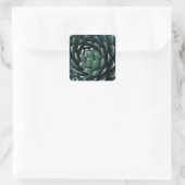 Green Agave Quadratischer Aufkleber (Tasche)