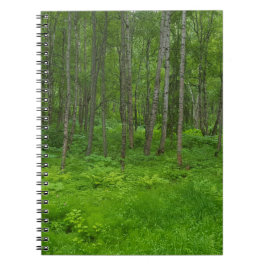 Green Alaska Summer Forest Adventure-Notebook Notizblock
