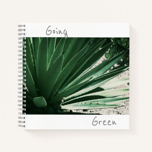 Green Aloe Succulent Pflanze Notebook Notizblock (Vorderseite)