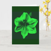 Green Amaryllis Karte (Gelbe Blume)