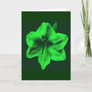 Green Amaryllis Karte