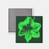 Green Amaryllis Magnet (Vorderseite/Rückseite)