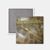Green Anaconda Magnet (Vorderseite/Rückseite)