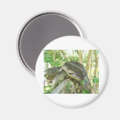 Green Anaconda Magnet (Vorderseite/Rückseite)