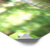 Green Anaconda Poster (Ecke)