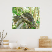 Green Anaconda Poster (Küche)