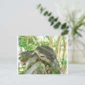 Green Anaconda Postkarte (Stehend Vorderseite)