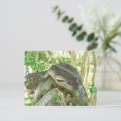 Green Anaconda Postkarte (Stehend Vorderseite)