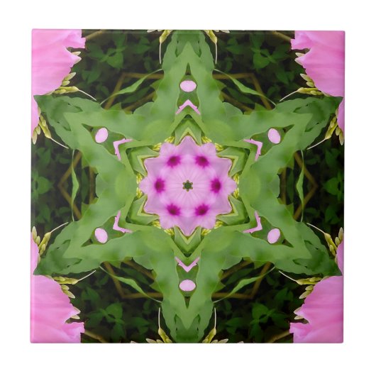 GREEN AND PINK ABSTRACT DRAWING. SAMER BRASIL. 4 FLIESE (Vorderseite)