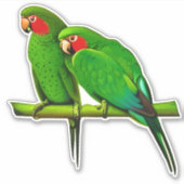 Green and Red Parrot Couple Aufkleber (Vorderseite)