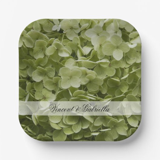 Green Annabelle Hydrangea Blume Hochzeit Pappteller (Vorderseite)