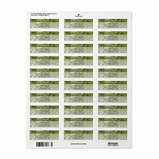 Green Annabelle Hydrangea Blume Rücksendeadresse (Vorne)