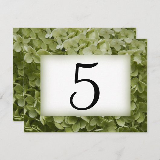 Green Annabelle Hydrangea Blume Tischnummern (Vorne/Hinten)