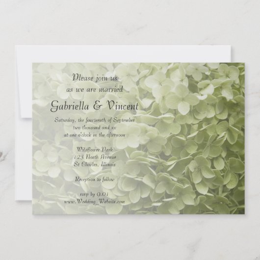 Green Annabelle Hydrangea Floral Wedding Einladung (Vorderseite)