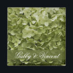 Green Annabelle Hydrangea Floral Wedding Magnet<br><div class="desc">Passen Sie das elegante Green Annabelle Hydrangea Floral Wedding Square Magnet mit den persönlichen Namen der Braut und des Bräutigams an, um ein personalisiertes Gastgeschenk zu schaffen oder um den Jungvermählten, Brautmädchen oder Brautpflegern Zugeständnisse zu machen. Dieser hübsche, individuell geblümte Heiratsmagnet zeigt ein Blumenfoto eines hellgrünen Gartens, Annabelle Hydrangea Blume....</div>