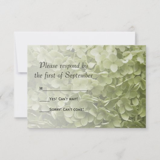 Green Annabelle Hydrangea Floral Wedding RSVP Karte (Vorderseite)
