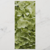 Green Annabelle Hydrangea Wedding Program Programm (Rückseite)