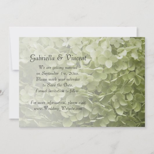Green Annabelle Hydrangea Wedding rettet das Datum Save The Date (Vorderseite)