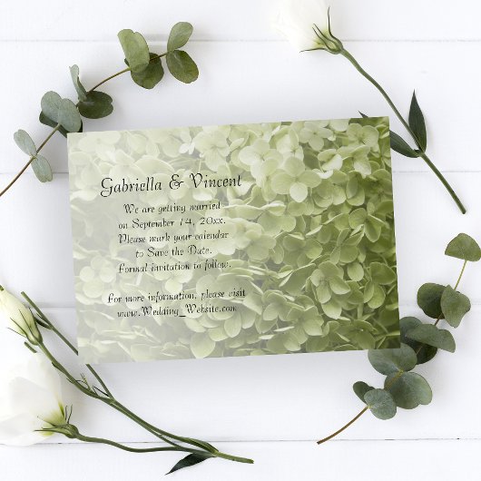 Green Annabelle Hydrangea Wedding rettet das Datum Save The Date