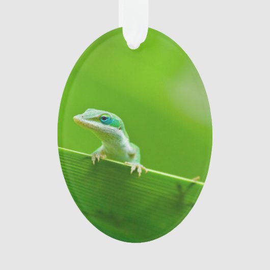 Green Anole Lizard-Begegnung Ornament (Vorderseite)