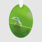 Green Anole Lizard-Begegnung Ornament (Rückseite)