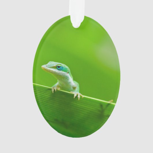 Green Anole Lizard-Begegnung Ornament (Rückseite)