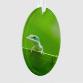 Green Anole Lizard-Begegnung Ornament (Vorderseite)