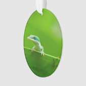Green Anole Lizard-Begegnung Ornament (Vorderseite)