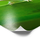 Green Anole Lizard Encounter Art Fotografie (Ecke)