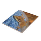 Green Anole Lizard Fliese (Seite)