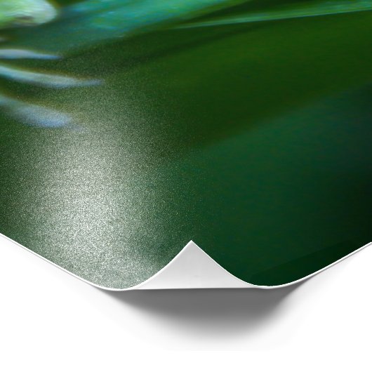 Green Anole Lizard Fotodruck (Ecke)