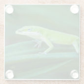 Green Anole Lizard Glasuntersetzer (Rückseite)