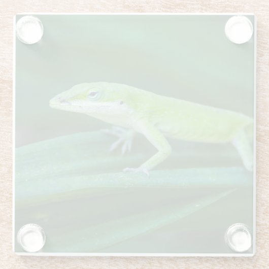 Green Anole Lizard Glasuntersetzer (Rückseite)
