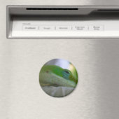 Green Anole Lizard Magnet (In Situ (Geschirrspüler))
