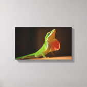 Green Anole Lizard mit Red Thraot Leinwanddruck (Vorderseite)