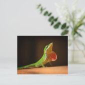 Green Anole Lizard mit Red Thraot Postkarte (Stehend Vorderseite)