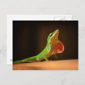 Green Anole Lizard mit Red Thraot Postkarte (Vorne/Hinten)