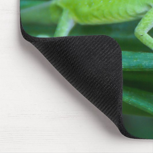 Green Anole Lizard Mousepad (Ecke)