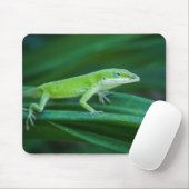 Green Anole Lizard Mousepad (Mit Mouse)