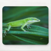Green Anole Lizard Mousepad (Vorne)