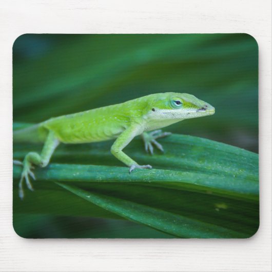 Green Anole Lizard Mousepad (Vorne)