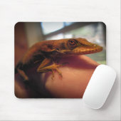 Green Anole Lizard Mousepad (Mit Mouse)