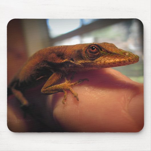Green Anole Lizard Mousepad (Vorne)