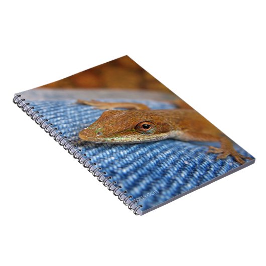 Green Anole Lizard Notizblock (Rechte Seite)
