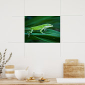 Green Anole Lizard Poster (Küche)