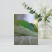 Green Anole Lizard Postkarte (Stehend Vorderseite)