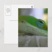 Green Anole Lizard Postkarte (Vorne/Hinten)
